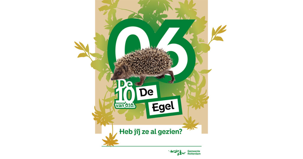 De nummer 6 van de 10 van 010: de egel