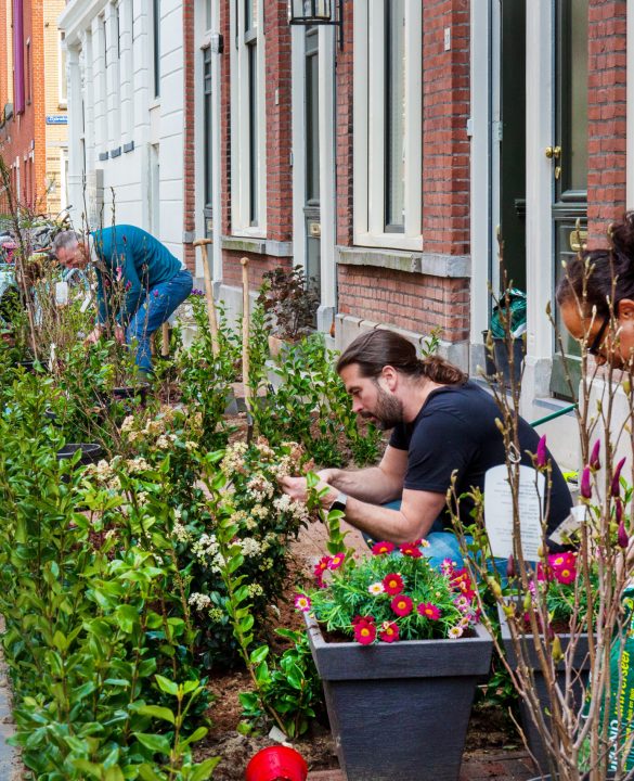 Vergroening tuin