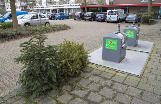 Kerstbomen bij container