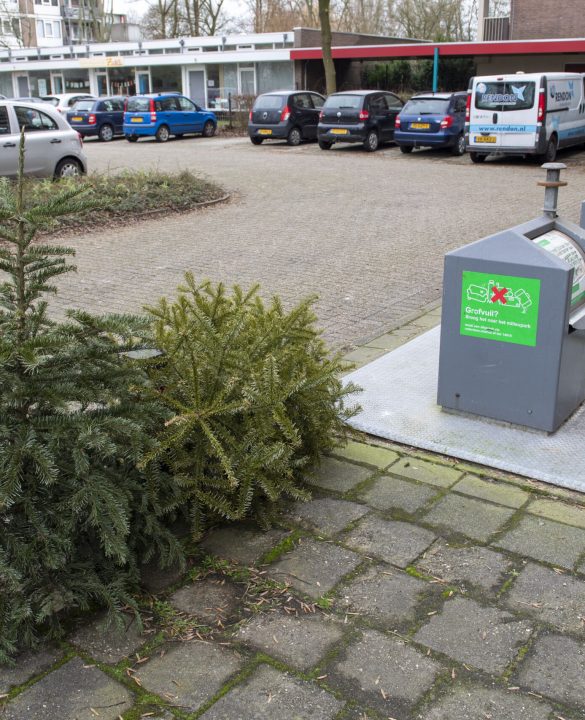 Kerstbomen bij container