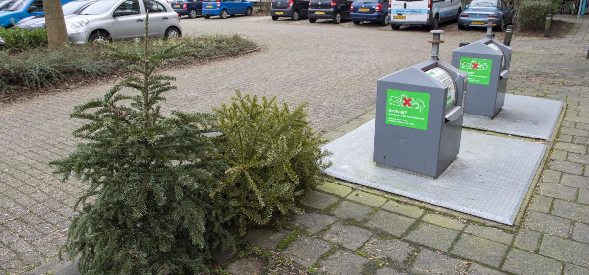Kerstbomen bij container