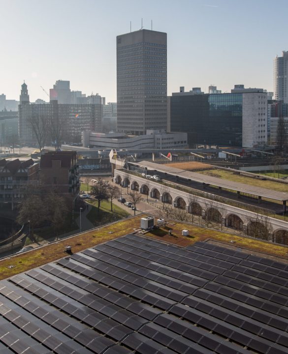 Zonnepanelen in Rotterdam