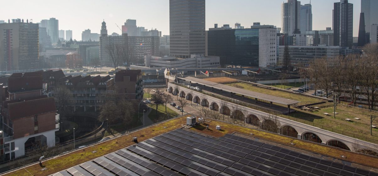 Zonnepanelen in Rotterdam