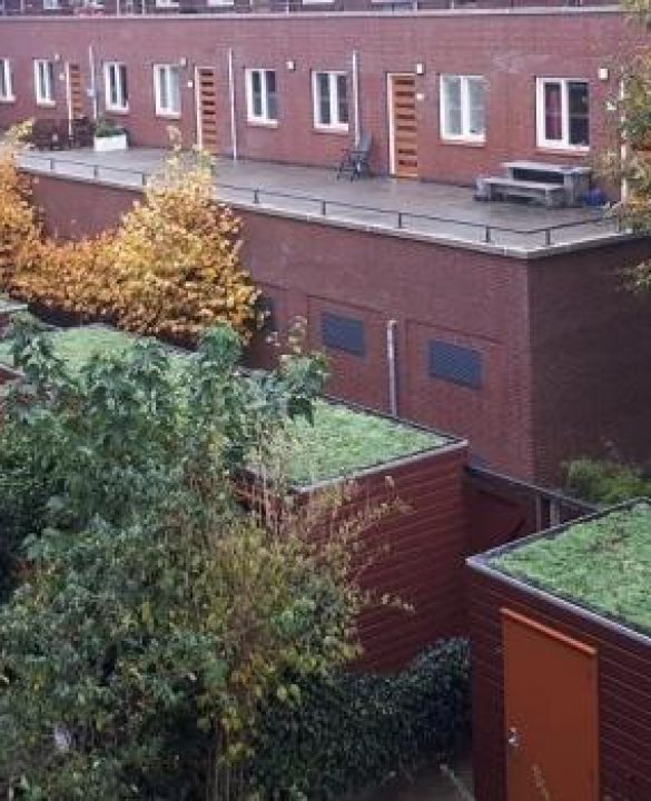 Groene-schuurtjes