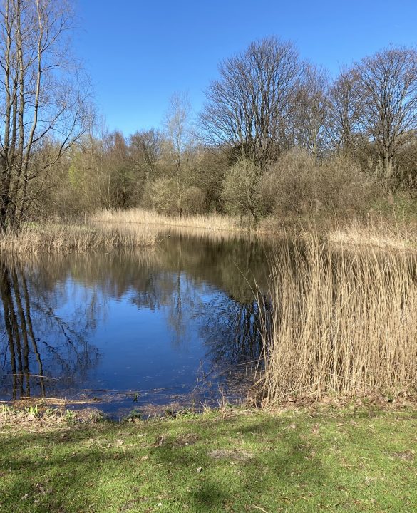 Foto natuurgebied Hoek van Holland