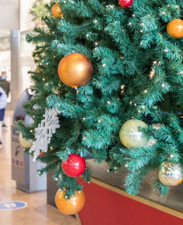 Kerstboom