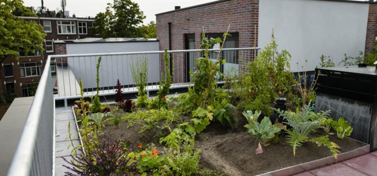 Moestuin-op-het-dak2