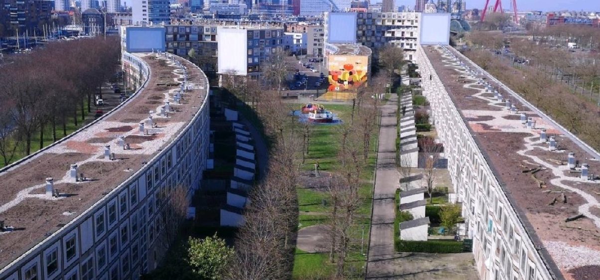 Primeur Peperklip heeft langste natuurdak van Nederland_header