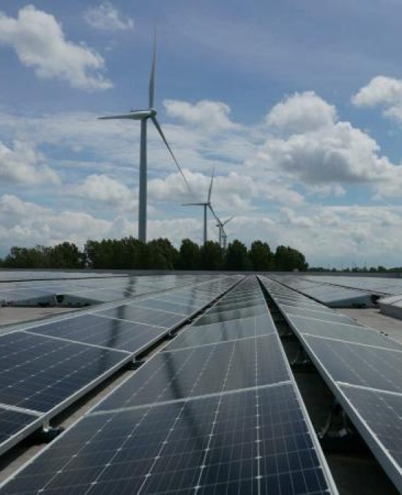 Zon-op-bedrijfsdak-in-havengebied-foto-Arjen-Spanjersberg-juli-2020-1