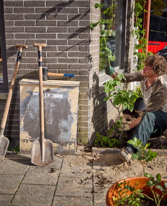 Nederland, Rotterdam, 22/10/2022,

Tegelwippen in de Herman Costerstraat.

foto Jan de Groen.