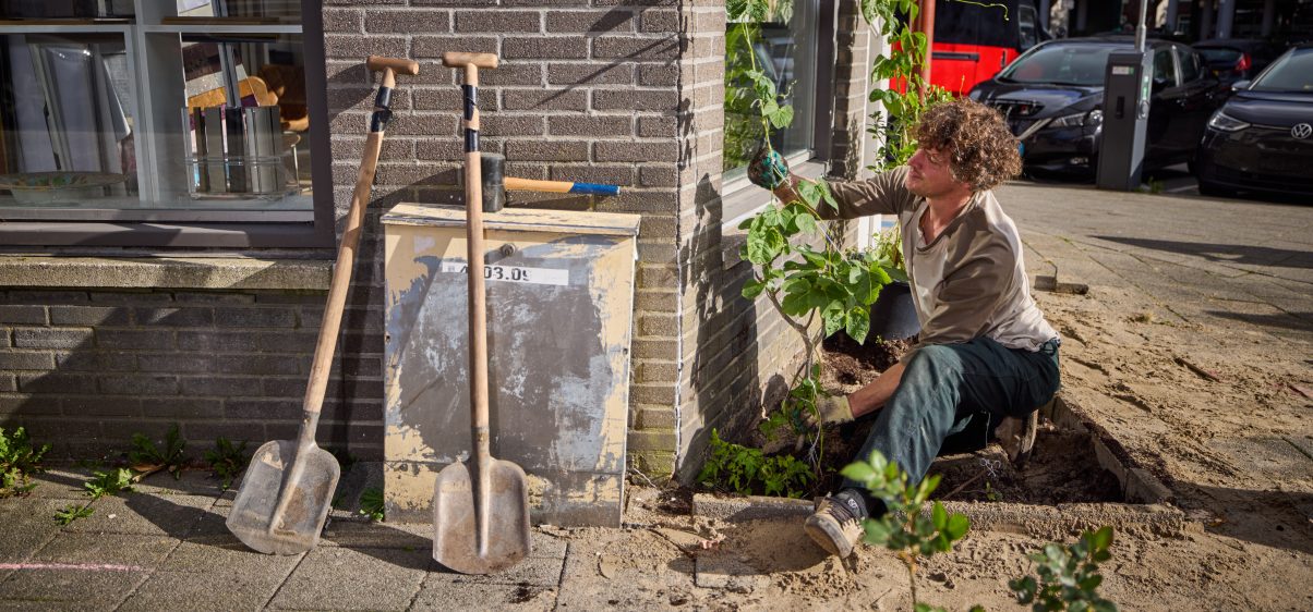Nederland, Rotterdam, 22/10/2022,

Tegelwippen in de Herman Costerstraat.

foto Jan de Groen.