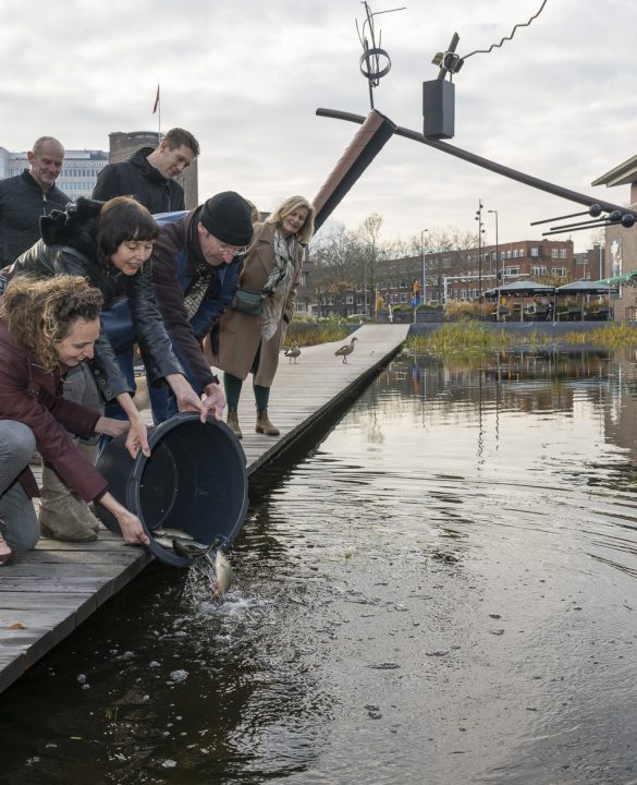 Het Nieuwe Instituut waar enkele personen de vissen in de vijver loslaten